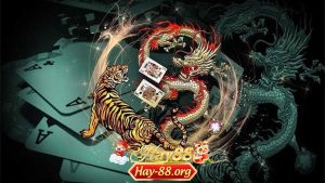 Rồng Hổ Là Gì
